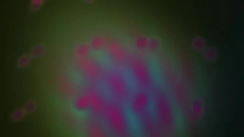 Microscopic view of cell division with vibrant purple and blue colors. Stock Footage 335532099