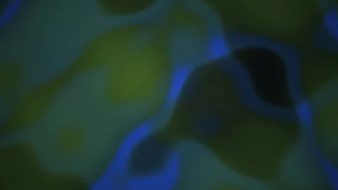 Microscopic view of cell structures. Stock Footage 334683207