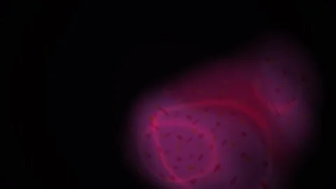 Microscopic view of cell structures. Stock Footage 340035423