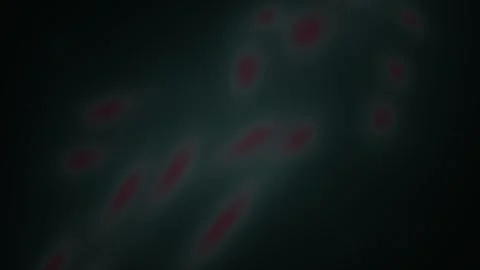 Microscopic view of cell structures. Stock Footage 340035449