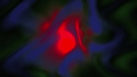 Microscopic view of cell structures under fluorescence. Stock Footage 335532217