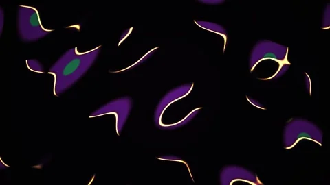 Microscopic view of cells and bacteria. Stock Footage 335962755