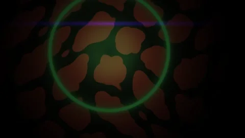Microscopic view of cells in circle. Stock Footage 340035489