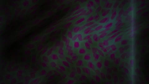 Microscopic view of cells with glowing light. Stock Footage 335962831