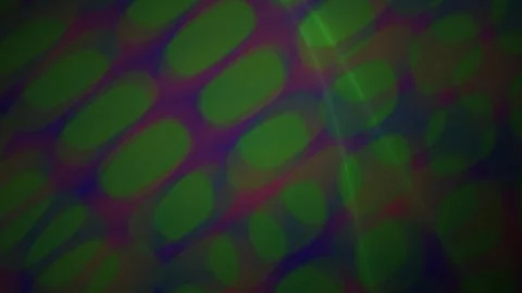 Microscopic view of cells with green and red fluorescence. Stock Footage 335532451