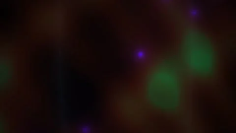 Microscopic view of cells with green and purple fluorescence. Stock Footage 335962775