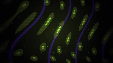 Microscopic view of cells with green fluorescence and blue lines on a black.. Stock Footage 337479457
