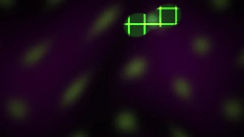 Microscopic view of cells with green grid. Stock Footage 336246573