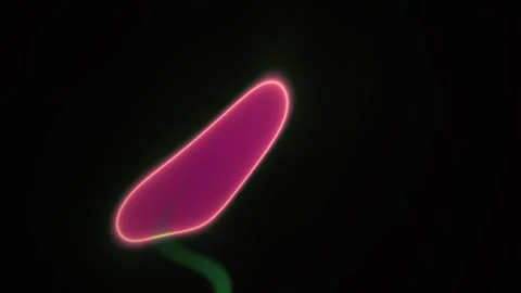 Microscopic view of cells with pink fluorescence. Stock Footage 335962794