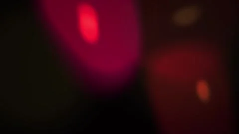 Microscopic view of cells with red fluorescence. Stock Footage 335532316