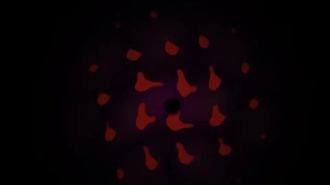 Microscopic view of cells with red fluorescence. Stock Footage 335962817