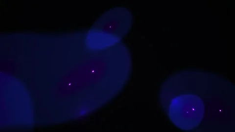 Microscopic view of cells under microscope. Stock Footage 334888145