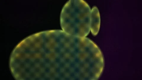 Microscopic view of cells under a microscope. 스톡 동영상 337479640