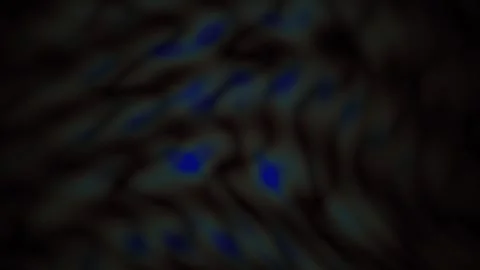 Microscopic view of cellular structures. Stock Footage 340035482