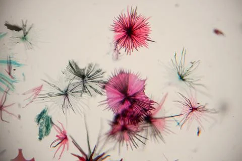 Microscopic view of colorful crystalline structures with intricate patterns.. Foto stock