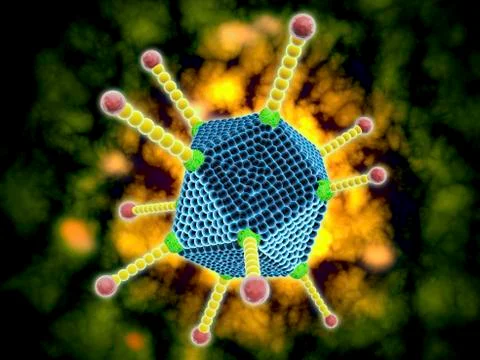 Microscopic view of the common cold virus. Stock Illustration