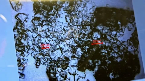 Microscopic View of Crystals 스톡 동영상 341765461