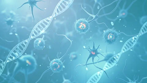 Microscopic View of DNA Strands and Cells in a Blue Scientific Background Stock Footage 339051176