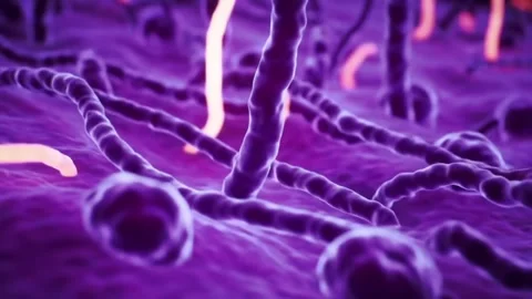 Microscopic View of DNA Strands in Purple and Blue 3D rendering of DNA mole.. Stock Footage 315702745