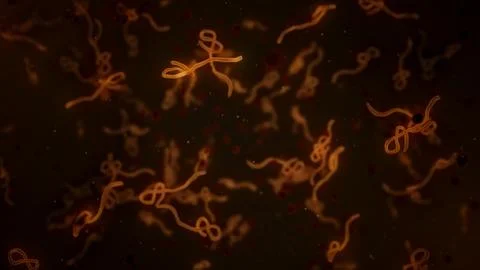 Microscopic View of Ebola Virus Cells Stock Illustration