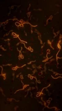 Microscopic View of Ebola Virus Cells Stock Illustration
