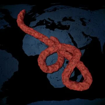 Microscopic view of the Ebola virus Stock Illustration