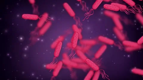 Microscopic View of Floating Pink Bacteria Cells Over Glowing Background Stock Footage 340760149