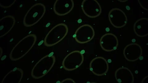 Microscopic View of Fluorescent Cell Division and Biological Cellular Struc.. Stock Footage 341807853