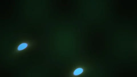 Microscopic view of fluorescently labeled cell nuclei in a dark laboratory .. Stock Footage 340526389