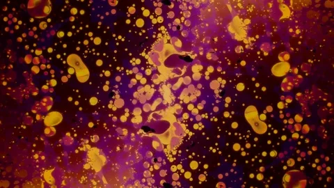 Microscopic View Stock Footage