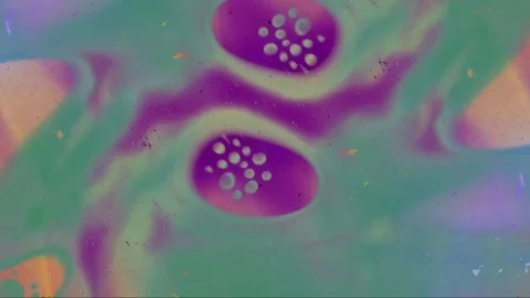 Microscopic View Видео 80542979