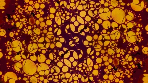 Microscopic View Stock Footage