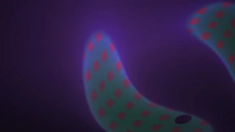 Microscopic view of glowing bacteria cells. Stock Footage 337515461