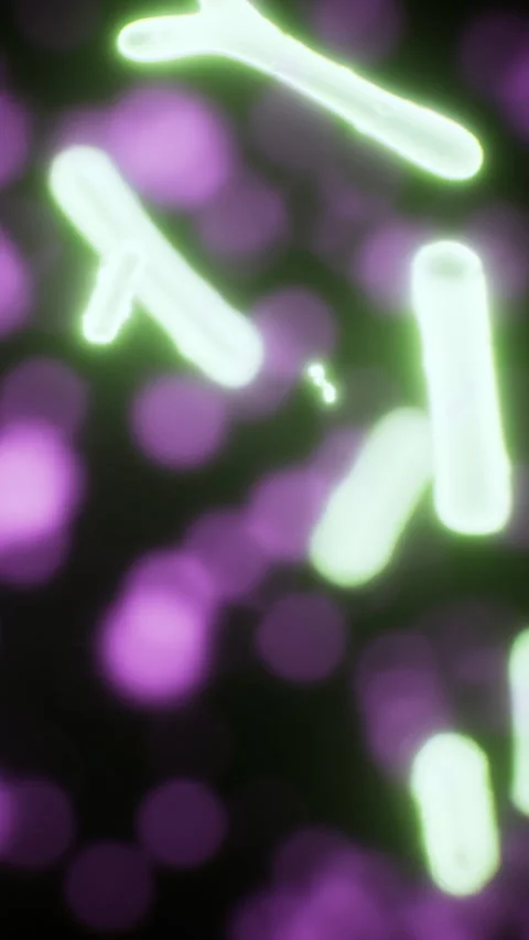 Microscopic view of glowing bacteria in a dark environment showing shapes Stock Footage 336025758