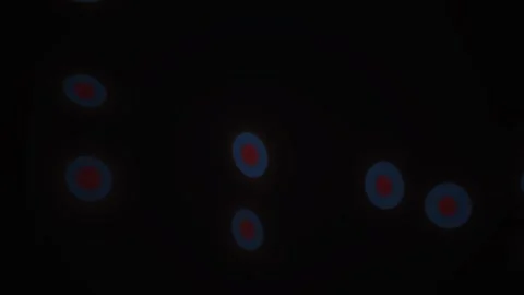 Microscopic view of glowing cells on black background. Stock Footage 335532305