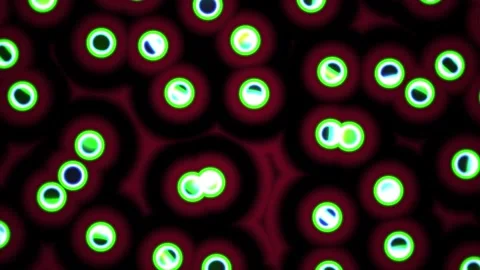 Microscopic view of glowing cells. Видео 334342468