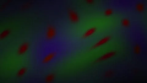 Microscopic view of glowing red cells. Stock Footage 340035628