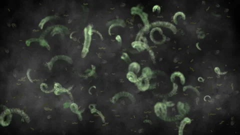 Microscopic View of Green Bacteria and Microorganisms in Foggy Background Video stock 296731364