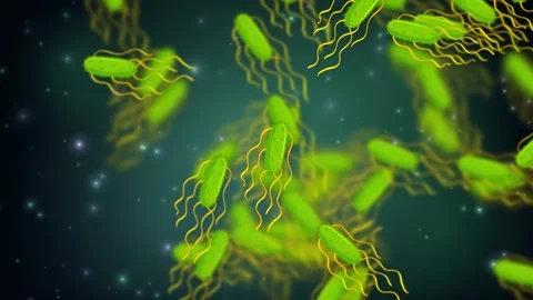 Microscopic View of Green Bacteria Cells Floating in Dark Fluid Stock Footage 340258860