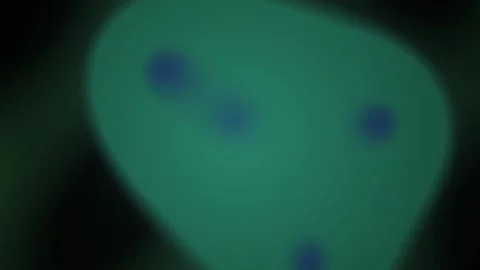 Microscopic view of green cells. Stock Footage 334191488