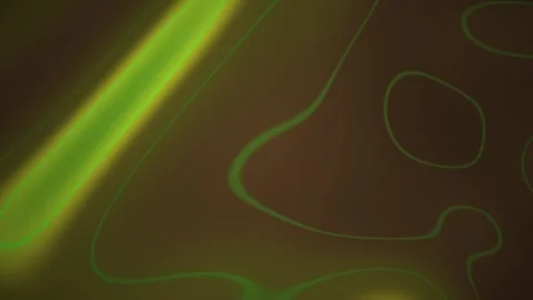 Microscopic view of green cells under a microscope. Stock Footage 335532459