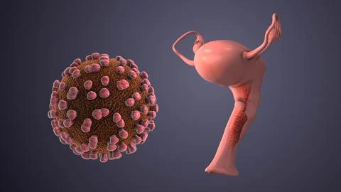 Microscopic View of HPV Virus Spreading in Uterus Stock Illustration