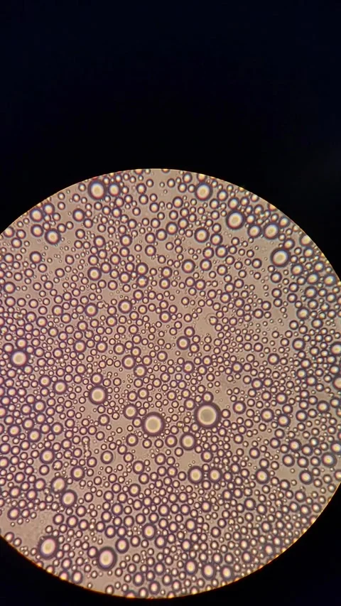 Microscopic view of human breast milk showing lipid Vídeos de archivo 331446178