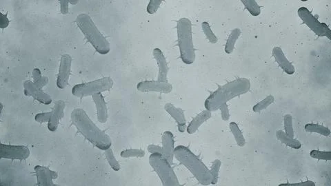 Microscopic View of Infectious Bacteria Cells Illustration Stock Illustration