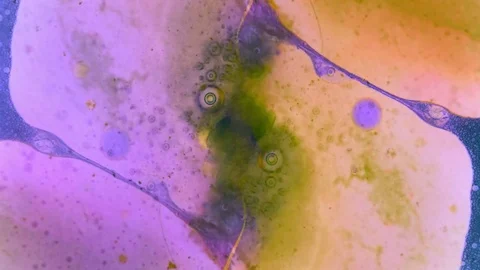 Microscopic View of Ink in Water Stockbeeldmateriaal 71094328