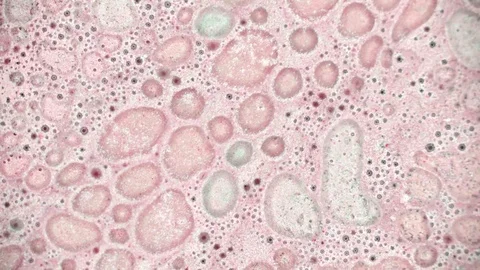 Microscopic View of Ink in Water Stock Footage 71094340