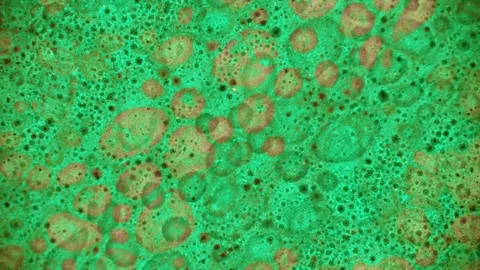 Microscopic View of Ink in Water Stockbeeldmateriaal 71094509