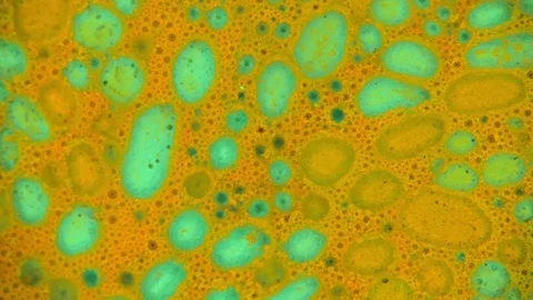 Microscopic View of Ink in Water Stock Footage 71094510