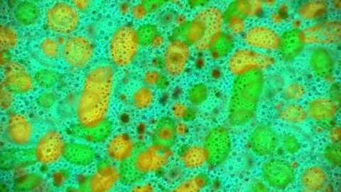 Microscopic View of Ink in Water Stockbeeldmateriaal 71094515