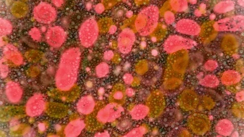 Microscopic View of Ink in Water 스톡 동영상 71094975